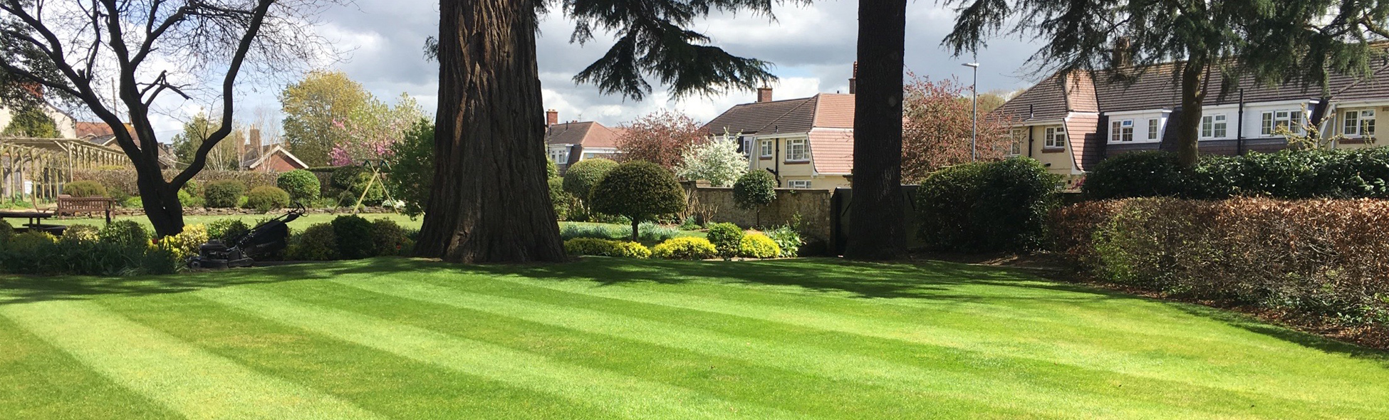 Maple Garden Management Dorset and Somerset